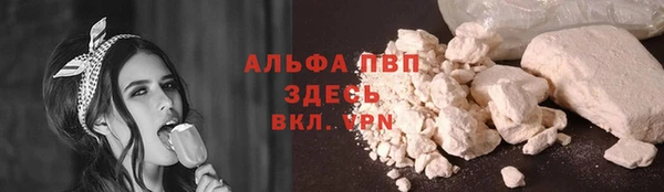 стаф Арсеньев