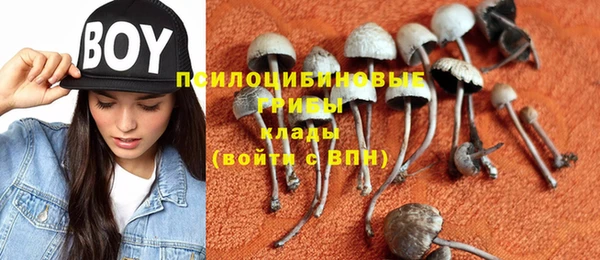 спайс Армянск