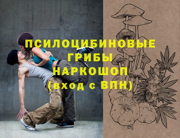 стаф Арсеньев