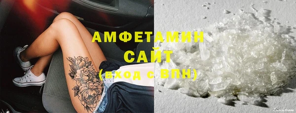 стаф Арсеньев