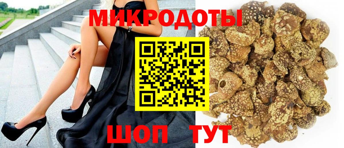 Псилоцибиновые грибы Cubensis Спасск-Дальний